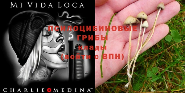 мяу мяу кристалл Кинешма