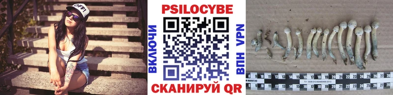 Галлюциногенные грибы ЛСД  Купить закладки  Бежецк 